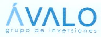 AVALO GRUPO DE INVERSIONES