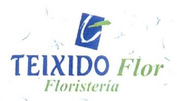 TEIXIDO FLOR FLORISTERIA