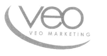 VEO VEO MARKETING
