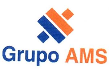 GRUPO AMS
