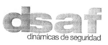 DSAF DINAMICAS DE SEGURIDAD