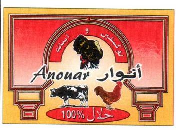 ANOUAR