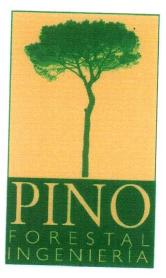 PINO FORESTAL INGENIERIA