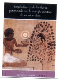 TODA LA FUERZA DE LAS FLORES POTENCIADA CON LA ENERGIA CURATIVA DE LOS MINERALES