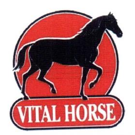 VITAL HORSE