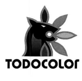 TODO COLOR
