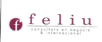 F FELIU CONSULTORS EN NEGOCIS & INTERNACIONAL
