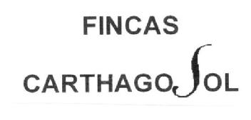 FINCAS CARTHAGO SOL