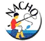 NACHO