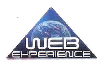 WEB EXPERIENCE