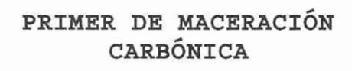 PRIMER DE MACERACION CARBONICA