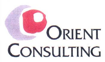 ORIENT CONSULTING