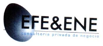 EFE&ENE CONSULTORIA PRIVADA DE NEGOCIO
