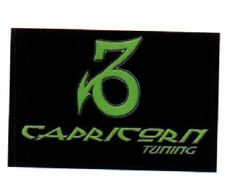 CAPRICORN TUNING