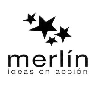MERLIN IDEAS EN ACCION
