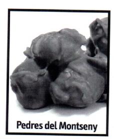 PEDRES DEL MONTSENY