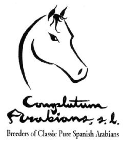COMPLUTUM ARABIANS, S.L. BREEDERS OF CLASSIC PURE SPANISH ARABIANS