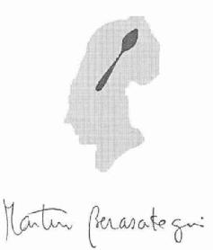 MARTIN BERASATEGUI