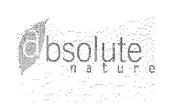 ABSOLUTE NATURE