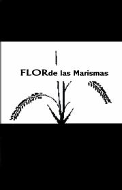 FLOR DE LAS MARISMAS