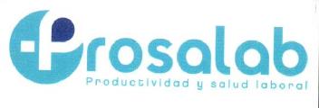 PROSALAB PRODUCTIVIDAD Y SALUD LABORAL