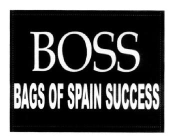 BOSS BAGS OF SPAIN SUCCESS