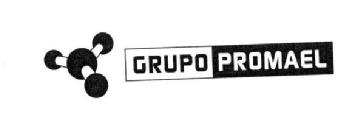GRUPO PROMAEL