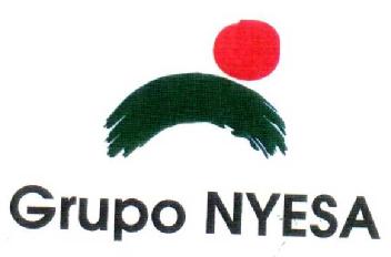 GRUPO NYESA