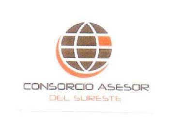 CONSORCIO ASESOR DEL SURESTE