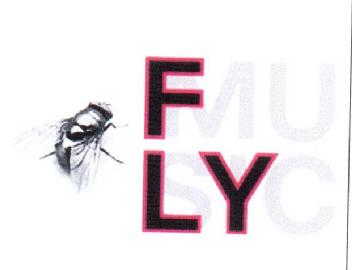FLYMUSIC