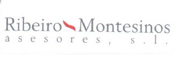 RIBEIRO MONTESINOS ASESORES, S.L