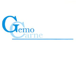 GEMO CARNE
