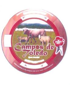 CAMPOS DE TOLEDO