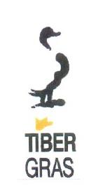 TIBER GRAS