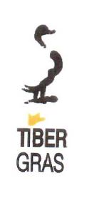 TIBER GRAS