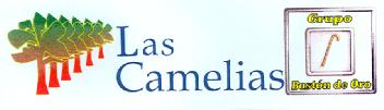 LAS CAMELIAS GRUPO BASTON DE ORO
