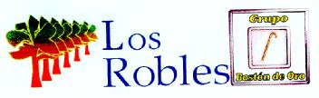 LOS ROBLES GRUPO BASTON DE ORO