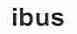 IBUS