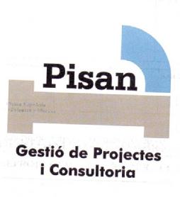 PISAN GESTIO DE PROJECTES I CONSULTORIA