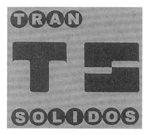 TS TRANSOLIDOS