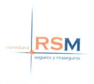CORREDURIA RSM SEGUROS Y REASEGUROS