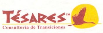 TESARES CONSULTORIA DE TRANSICIONES