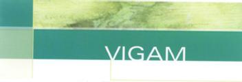 VIGAM