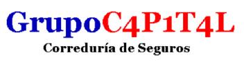 GRUPOC4P1T4L CORREDURIA DE SEGUROS