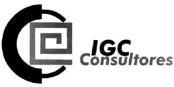 IGC CONSULTORES