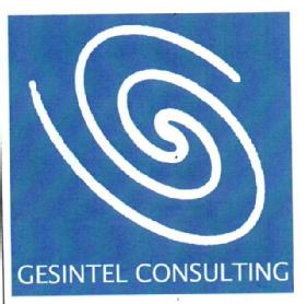 GESINTEL CONSULTING