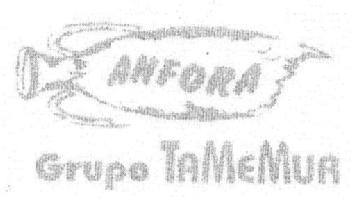ANFORA GRUPO TAMEMUR