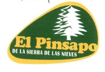 EL PINSAPO DE LA SIERRA DE LAS NIEVES