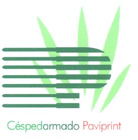 CESPEDARMADO PAVIPRINT
