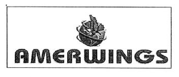 AMERWINGS